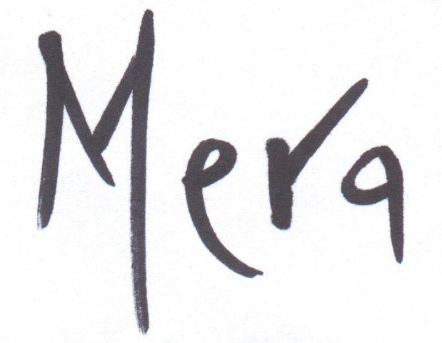 Firma de Domingo Díaz Mera